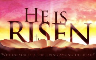 April 2019 Newsletter