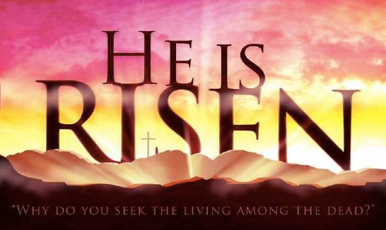 April 2019 Newsletter